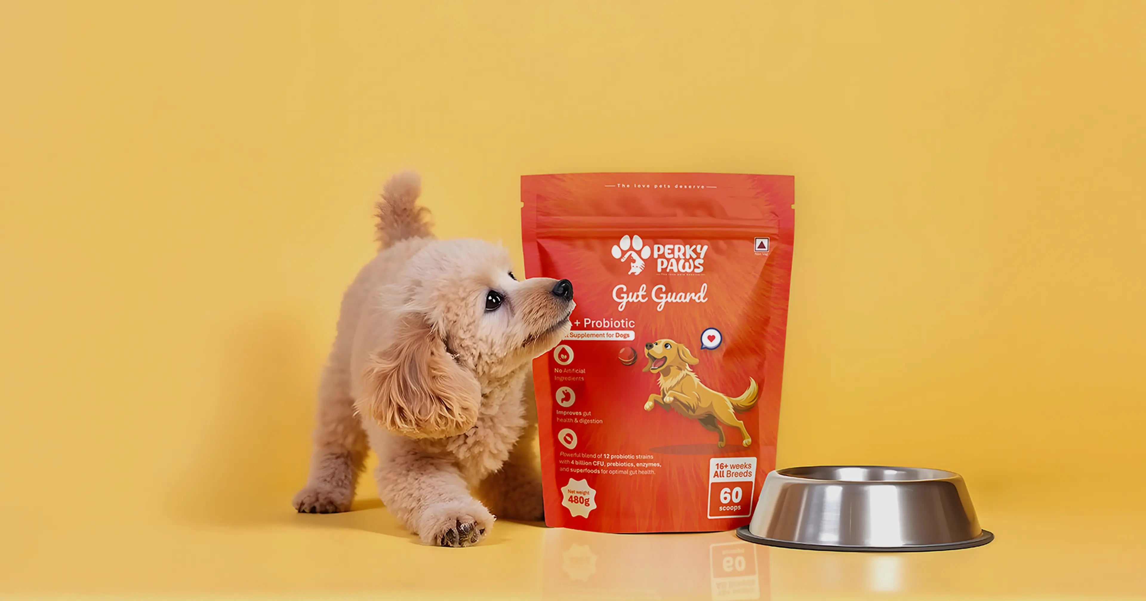 Dog next to a pack of Perky Paws Gut Guard - pre+probiotic supplement for dog gut health on a yellow background